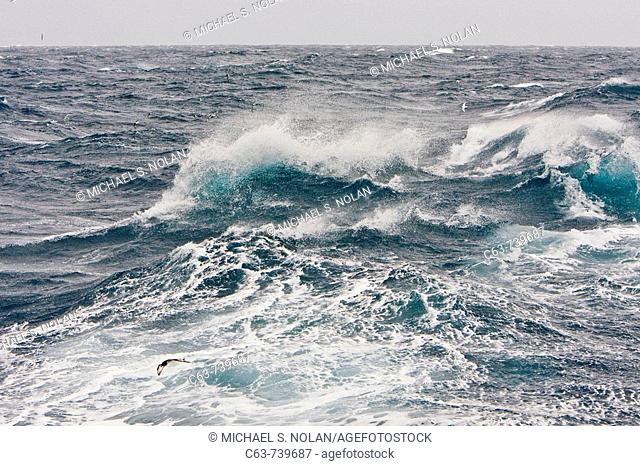 The Drake Passage from aboard the National Geographic Endeavour. The Drake passage crosses the roaring forties and furious fifties (degrees of lattitude)