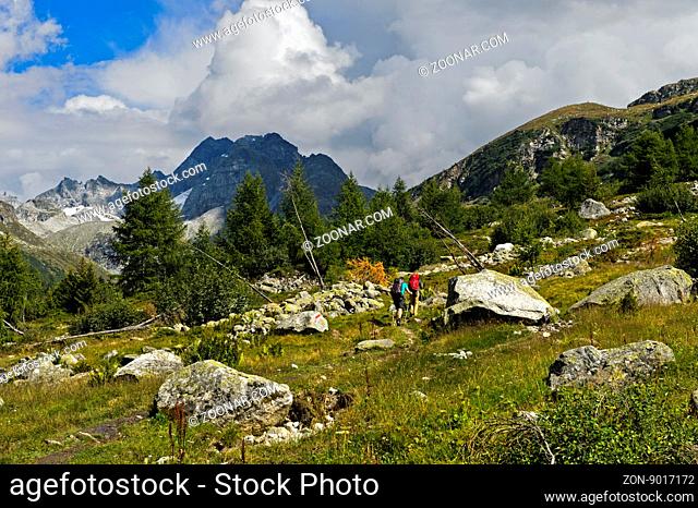 Wandern im Binntal, Gipfel Ofenhorn hinten, Wallis, Schweiz / Hiking in the Binntal valley, peak Ofenhorn behind, Valais, Switzerland