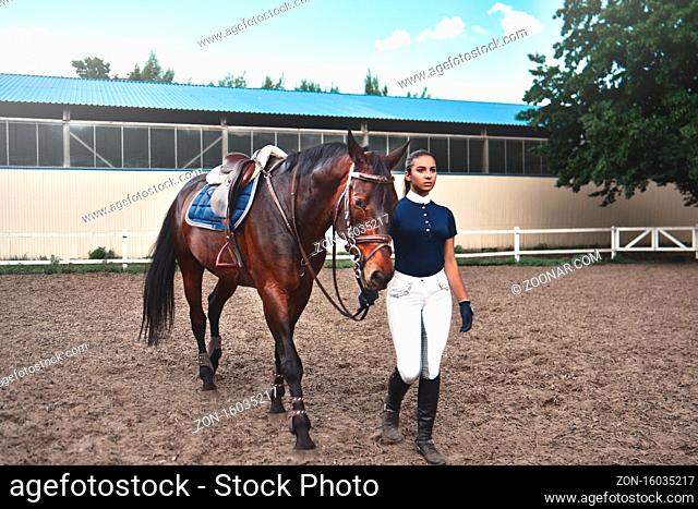 Young woman leads her horse to training and preparing it for the races