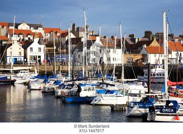 Sailing Boats in the Harbour Anstruther Fife Scotland