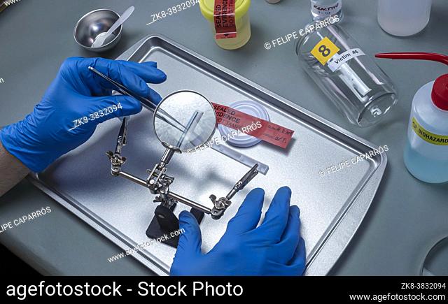 Forensic police take razor blade from victim in crime lab for analysis, concept image