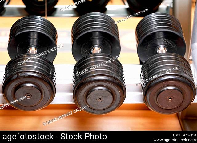 Different sizes and weights of dumbbell free weights at a gym