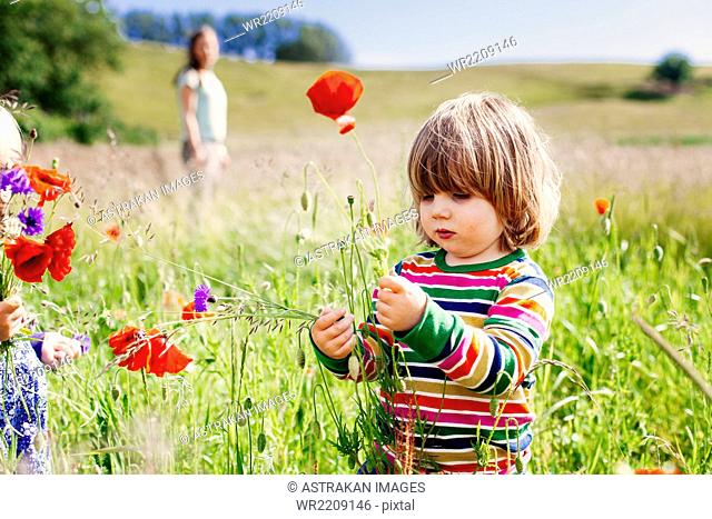 Cute girl holding poppy flowers at grassy field