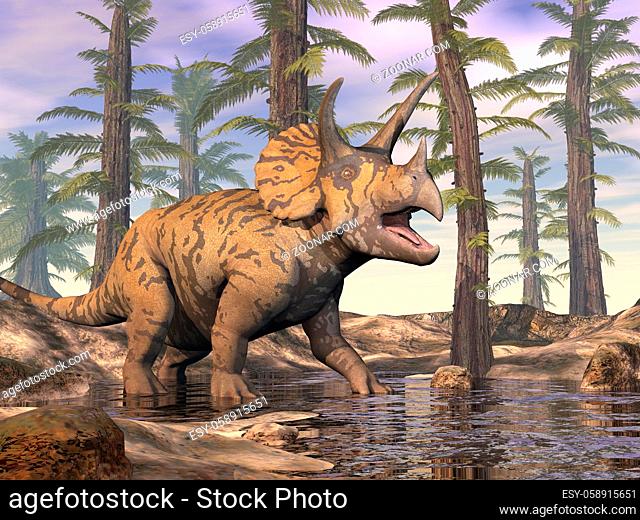 Triceratops walking in a pond in the forest by cloudy day - 3D render