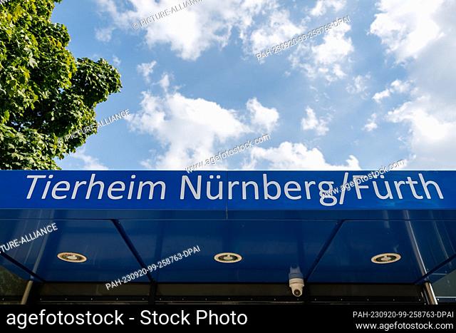 PRODUCTION - 11 September 2023, Bavaria, Nuremberg: ""Tierheim Nürnberg/Fürth"" is written above the entrance at the animal shelter in Nuremberg