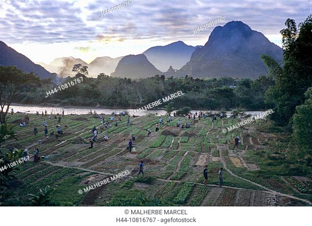 Laos, Asia, Vang Vieng, agriculture, fields, cultivation, outhouse, vegetables, worker, plantation, river, flow, mount