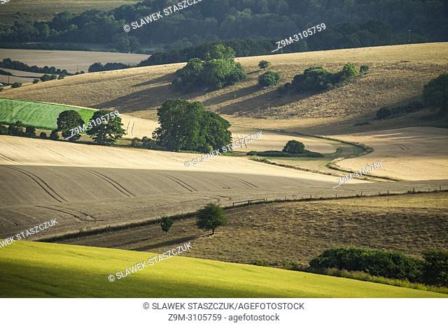 Summer afternoon in South Downs National Park, West Sussex, England