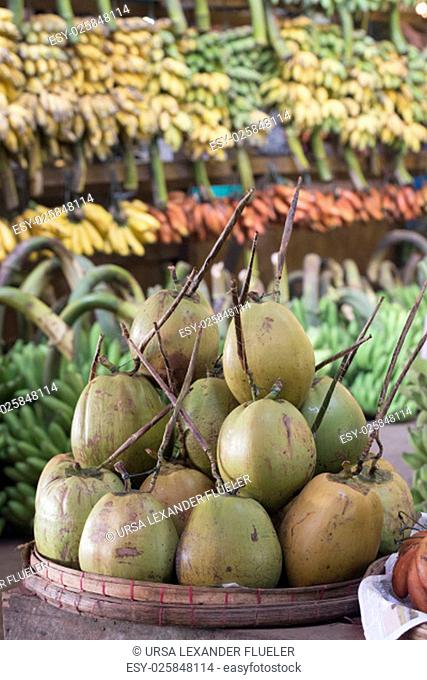 Cocosnut in a Fruit market in a Market near the City of Yangon in Myanmar in Southeastasia