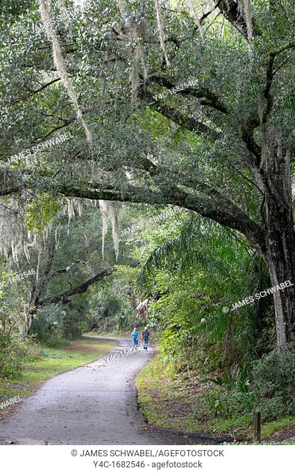 Couple walking on road though Live Oak trees with Spanish Moss at Ravine Gardens State Park in Palatka in Central Florida