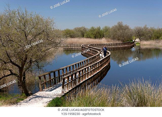 Tablas de Daimiel National Park, Ciudad Real-province, Castilla - La Mancha, Spain, Europe