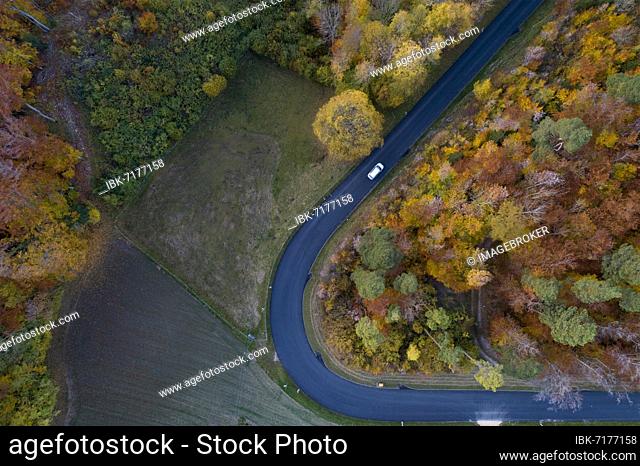 View of a small mountain road in autumn, drone shot, Eptingen, Basel-Landschaft, Switzerland, Europe