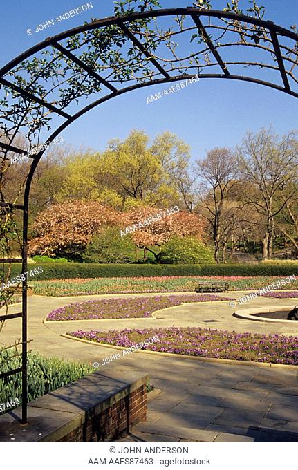 Spring scene with Tulips & trellis, Conservatory Garden Central Park, New York