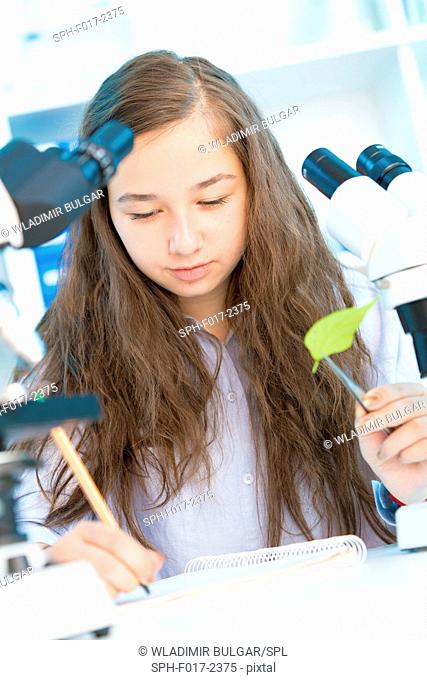 MODEL RELEASED. Girl holding green leaf and making notes in laboratory
