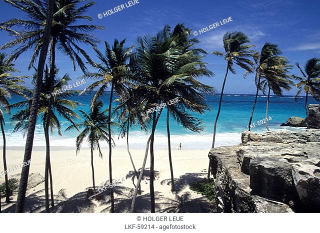 Coconut Trees & Bottom Bay Beach, Bottom Bay, St. Philip, Barbados, Carribean
