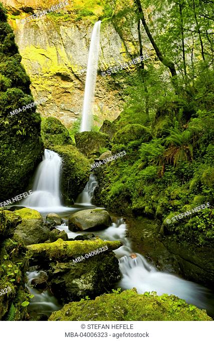 The USA, America, Columbia River Gorge, Elowah Falls, waterfall, green, jungle, wood, rain, fern, enchanted, moss