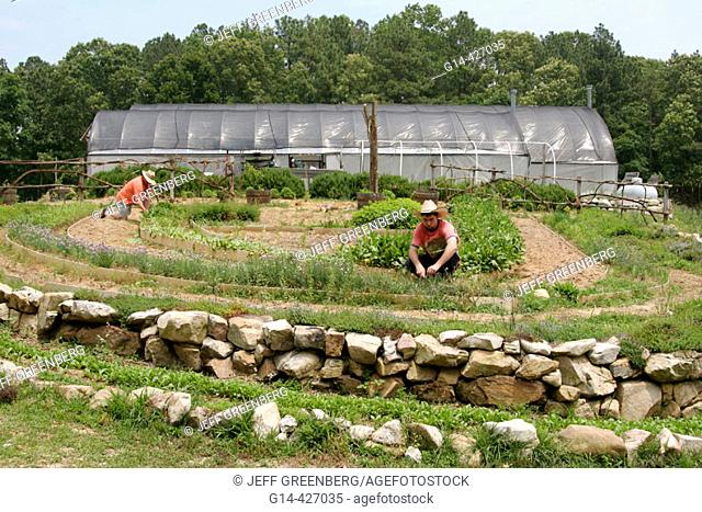 Organic farming. Grow Alabama, Mt. Laurel, Alabama. USA