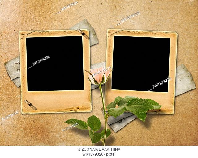 Bouquet of beautiful roses with slide for invitation or congratulation on abstract paper