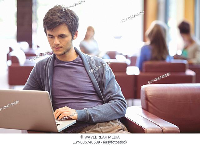 Focused young student studying on couch
