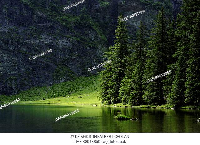 View of lake Hintersee, 1300 m, High Tauern National Park, Austria