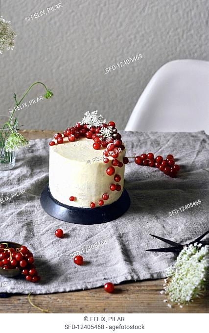 A redcurrant and elderflower cake