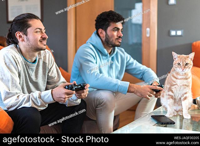 Young male friends playing video game while cat sitting on table at home