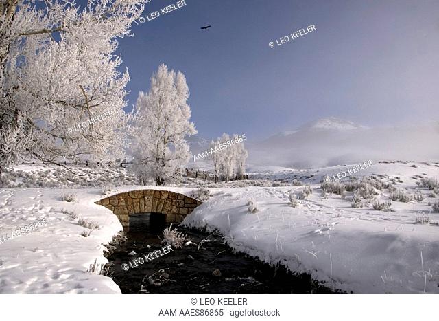 Scenic creek in winter in Yellowstone National Park