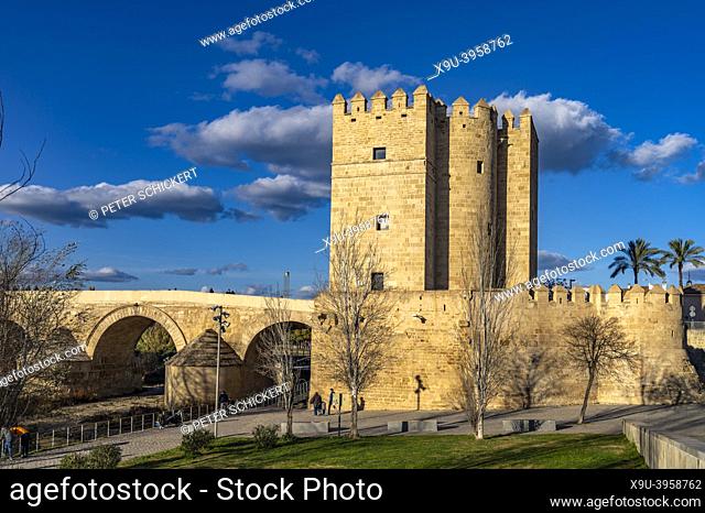 watchtower Torre de la Calahorra in Cordoba, Andalusia, Spain