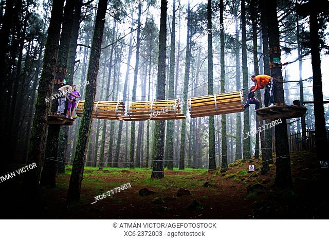 families playing in Forestal Park . Theme park in Tenerife island Spain