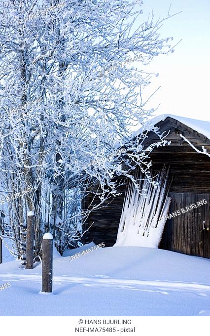 Hut in a wintry landscape, Sweden