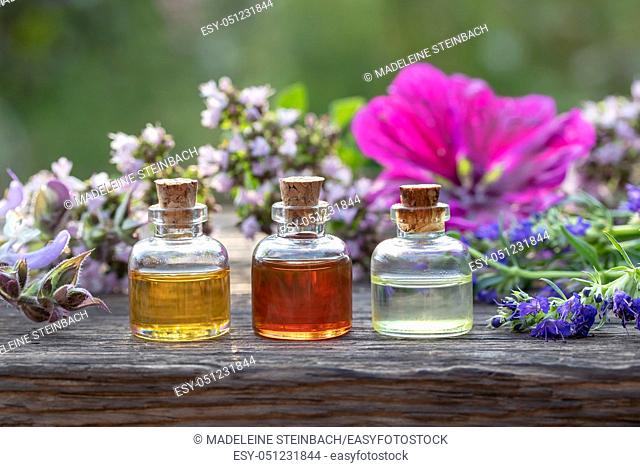 Three bottles of essential oil with hyssop, clary sage, mallow and blooming oregano in the background