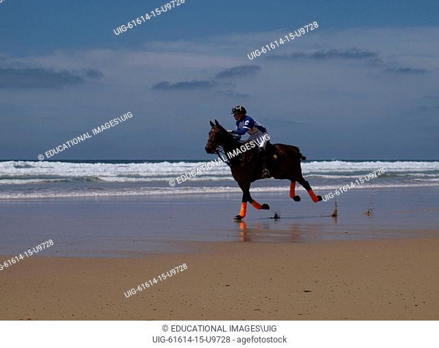 Polo player riding horse along the beach, Watergate Bay, Cornwall, UK