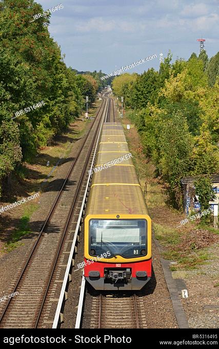 S2 S-Bahn, Lankwitzer Straße, Mariendorf, Berlin, Germany, Europe