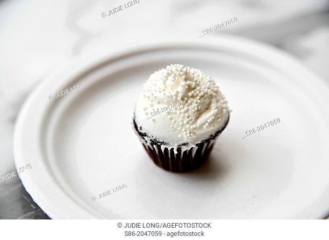 Chocolate Mini Cupcake, White Vanilla Icing, White Sugar Bead Sprinkles, on a White Plate