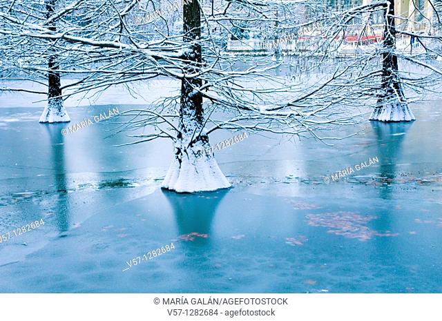 Frozen over pond, Cristal Palace. The Retiro park, Madrid, Spain