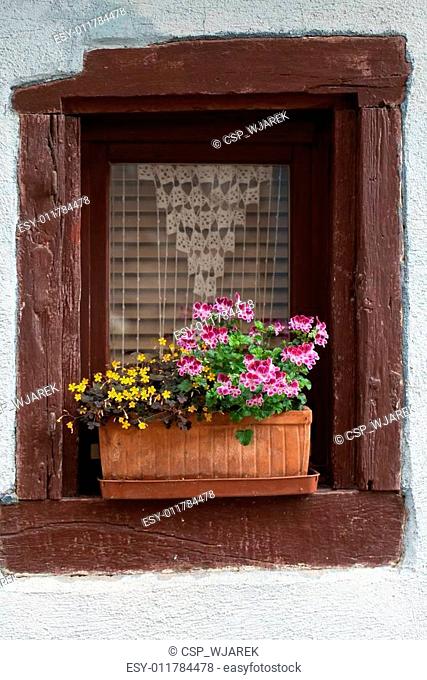 Window of a house in Eguisheim, Alsace, France