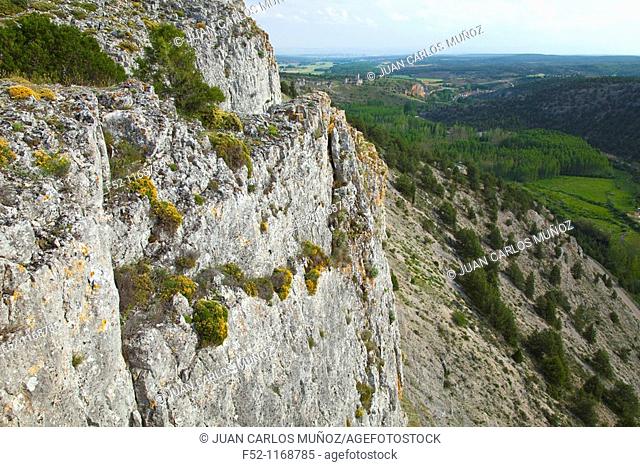 La Galiana viewpoint, Cañón del Río Lobos Natural Park, Ucero, Soria province, Castilla-Leon, Spain
