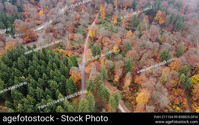 PRODUCTION - 02 November 2021, Hessen, Schmitten: A patch of forest with beech and spruce trees in the Hochtaunus near Schmitten (aerial photograph taken with a...