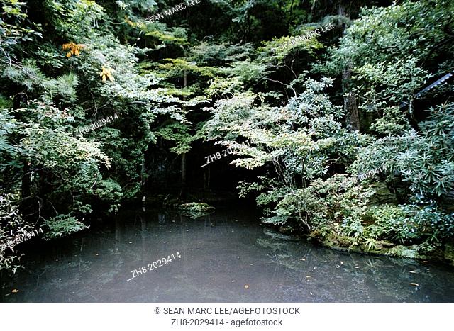 A quiet serene forest canopy over a small body of water at a temple garden in Kyoto