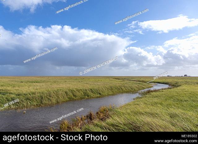 Landscape with salt marshes, Sankt Peter-Ording, North Sea, Schleswig-Holstein, Germany, Europe