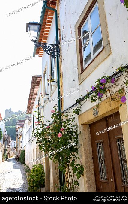 PRODUCTION - 03 August 2022, Portugal, Tomar: Roses and showy vines grow on a house in an alley in the city center, at the end of which the Templar Castle can...