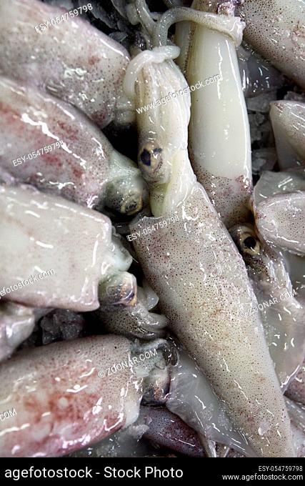 View of a pile of fresh squids at sale on the market