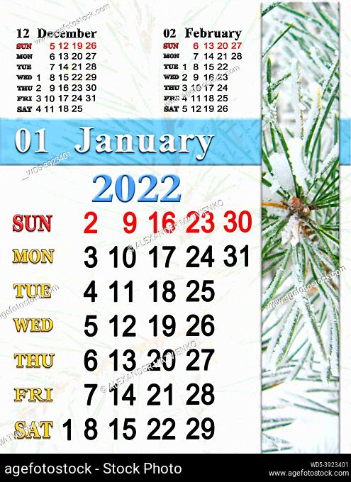 calendar for January 2022 with pine branch covered by snow. Photo calendar 2022. Simple Calendar. Printable. Letter size. Office planner. Sunday start