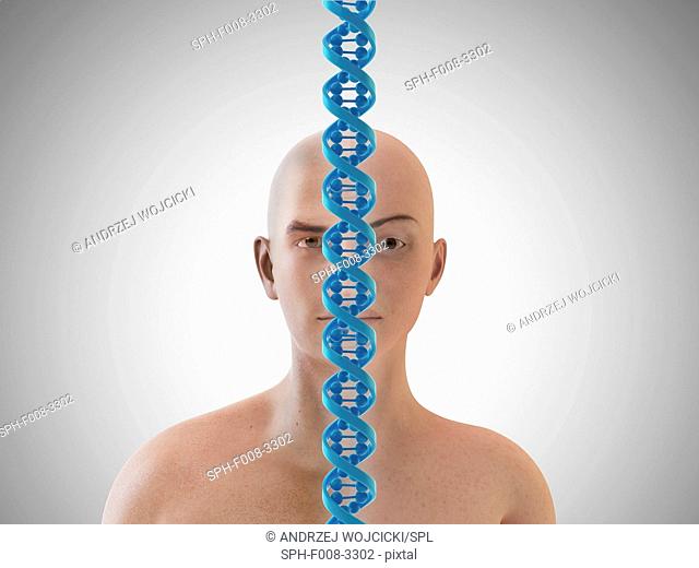 Human genome, conceptual computer artwork