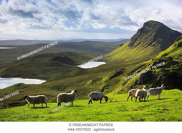 Vantage point, vista, cliff, rock, mountains, Great Britain, Highland, highlands, sky, highland, island, isle, Skye, Isle of Skye, scenery, landscape, Loch