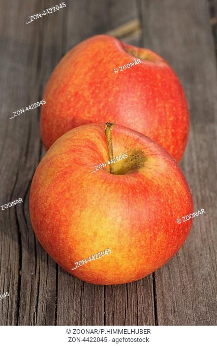 Äpfel der Sorte 'Mairac`, Synonym 'La Flamboyante`