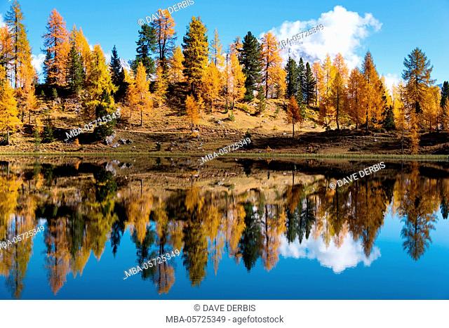 Mountain lake, reflection, autumn, colour of the lgutters, Lago Federa, the Dolomites, Italy