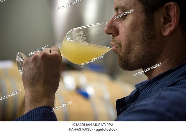 Vineyard technician Stefan Sigloch tastes a sample in the wooden and barrique barrel cellar of the Lauffener Weingaertner eG wine growing company