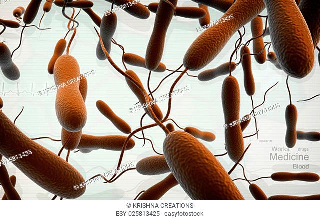 Digital illustration of cholera bacteria in colour background