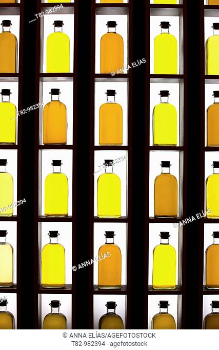 botellas de aceite sobre fondo blanco, Andalucia, oil bottles on white background, Andalucia