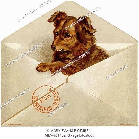 A dog pops out of the envelope to wish everyone a merry Christmas